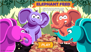 Elephant Feed!