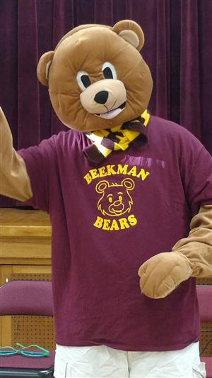 Bear 