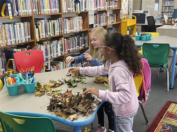 Students working on a project in Library Enrichment